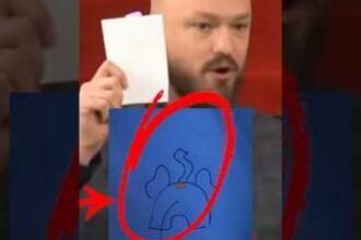 Najnowsze nagranie na kanale Prawicowy Internet