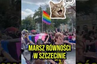 Nowy film na kanale Prawicowy Internet