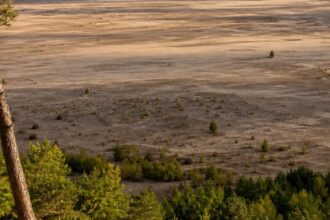 „Polska Sahara” prawie znikła. Uratowało ją wojsko i projekt przyrodników