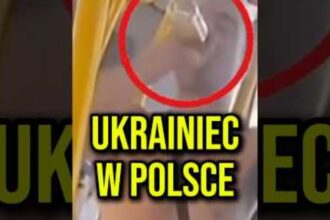 Zapraszamy do obejrzenia nowego nagrania