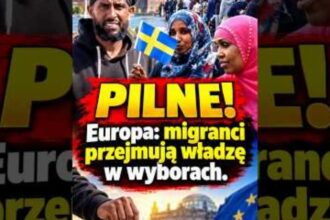 Nowy materiał wideo na kanale Prawicowy Internet