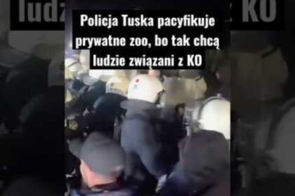 Wideo z kanału Prawicowy Internet