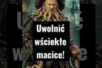 Wideo z kanału Prawicowy Internet